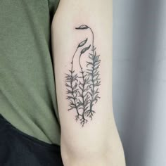 a person with a tattoo on their arm that has plants growing out of the back