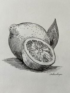 a drawing of a lemon with a slice cut in half and the whole fruit still attached to it