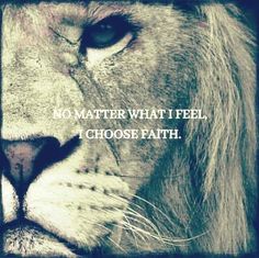 a lion's face with the words no matter what i feel, i choose faith