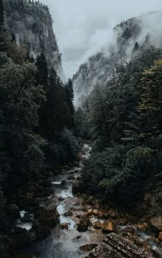 a river running through a forest filled with lots of trees and fog covered mountains in the distance