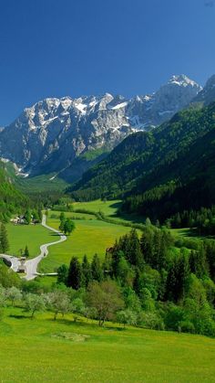 a green valley with mountains in the background and a road winding through it, surrounded by trees