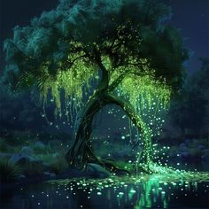 a tree that is in the water with fireflies on it