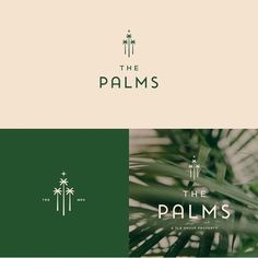 the palms logo with palm trees in the background