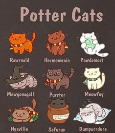 a black shirt with cats on it and names in different languages, including the words harry potter