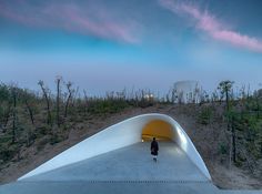 a person standing in the middle of a tunnel