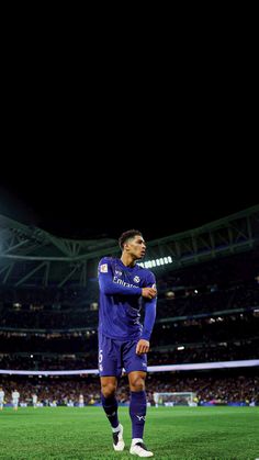 a man standing on top of a soccer field in front of a stadium filled with people