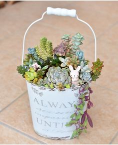 a white bucket filled with succulents and plants