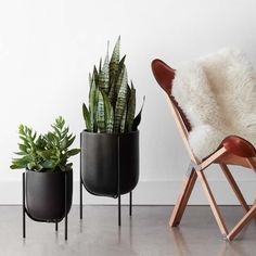 two plants in black planters next to each other on a white floor with a wooden chair