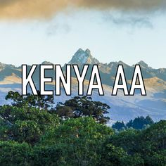 the words kenya aa are in front of some trees and mountain tops with mountains in the background