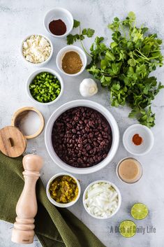 the ingredients for this mexican dish include beans, rice and cilantro