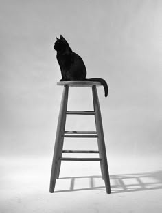 a black cat sitting on top of a wooden stool