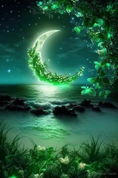 the moon is shining brightly in the night sky over the water and green plants on the shore