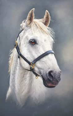 a painting of a white horse wearing a bridle