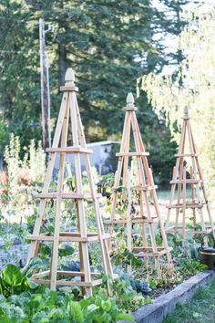 three wooden trees are in the middle of a garden