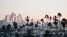 the los angeles skyline with palm trees and buildings in the background