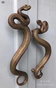 a door handle with a snake on it