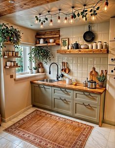 a kitchen filled with lots of counter top space and potted plants on the shelves