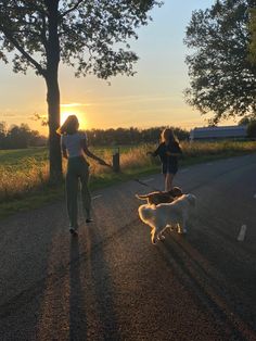 two women walking their dogs down the road at sunset