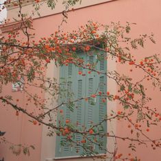 an orange tree in front of a pink building with blue shutters and green shutters