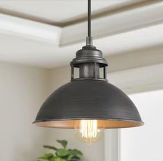 an industrial style light fixture hanging from a ceiling in a room with a potted plant