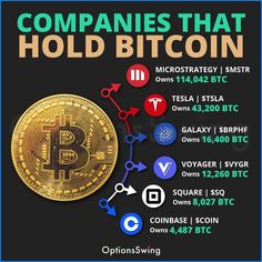 a bitcoin with the words companies that hold bitcoin