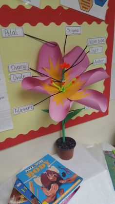 a pink flower is on top of a book next to a potted plant and some children's books