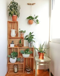 some plants are sitting on wooden crates in the corner