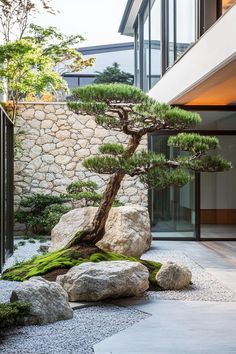 a bonsai tree in the middle of a rock garden