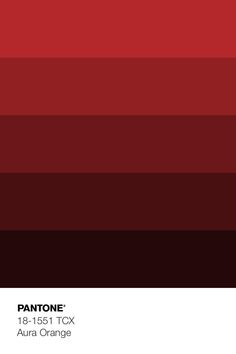 pantone's red and black color scheme is shown in this image, it looks like