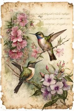 two hummingbirds sitting on top of pink flowers next to an old fashioned postcard