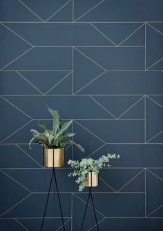 two planters with plants in them against a blue wallpapered background that has gold lines on it