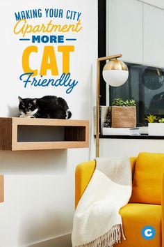 a black and white cat sitting on top of a shelf next to a yellow chair