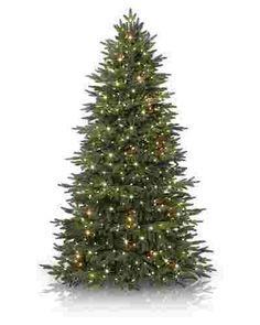 a christmas tree with white lights on the top and green needles, in front of a white background