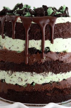 a chocolate cake with white and green frosting