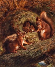 three red squirrels in a tree with hay