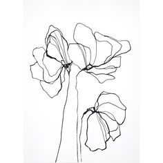 Fine Line 6 Poster Print by Design Fabrikken Design Fabrikken-VARPDXMF9691434 Image 1 Line Drawing Of Flowers, Drawing Of Flowers, Art Abstrait Ligne, Flower Line Drawings, Single Line Drawing, Flower Outline, Line Flower, Flower Sketches, Affordable Art Prints