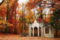 an old stone gazebo surrounded by fall foliage