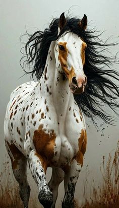 a brown and white horse with long black hair running in the grass on a foggy day