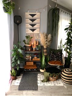 a living room filled with lots of plants and decor