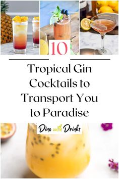 Collage of 4 tropical gin cocktails. Tropical Gin Cocktails, Gin Mixed Drinks, Tropical Dinner, Gin And Lemonade, Tropical Desserts, Drink Names, Tropical Drinks, Drink Garnishing