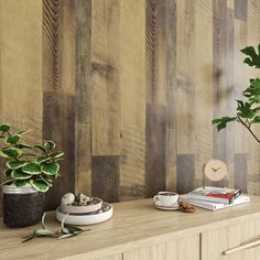 two potted plants sit on top of a wooden shelf in front of a wood paneled wall