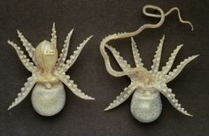 two silver and white octopus figurines sitting next to each other on a black surface