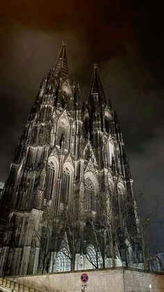 the large cathedral is lit up at night with lights on it's sides and trees in front