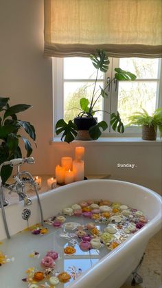 a bathtub filled with lots of flowers next to a potted plant and candles