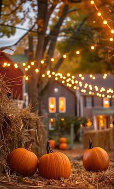 three pumpkins sitting on hay in front of a house with lights strung from the trees