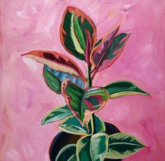 a painting of a potted plant on a pink background