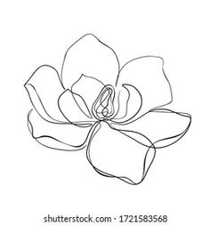 the outline of a flower on a white background