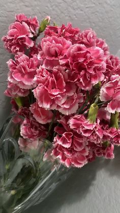 pink carnations in a clear vase against a white wall