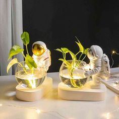 two planters with plants growing out of them on a table next to a laptop