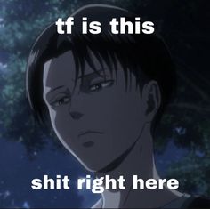 Levi Reaction Pic, Levi Ackerman Quotes, Savage Meme, Media Consumption, Cold Hard Truth, Sky Anime